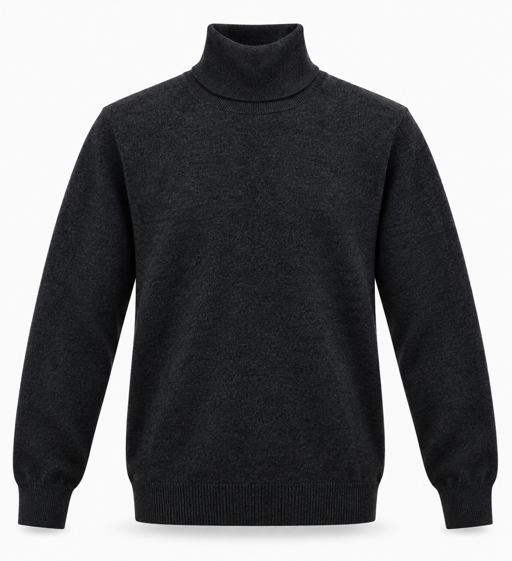Pull Col Roulé en Maille Fine